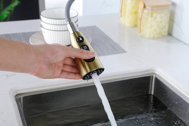 Sleek Pull-Down Kitchen Faucet