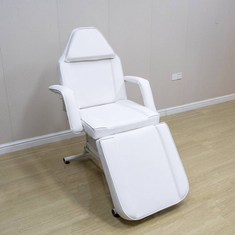 Beauty Spa Chair & Tattoo Bed