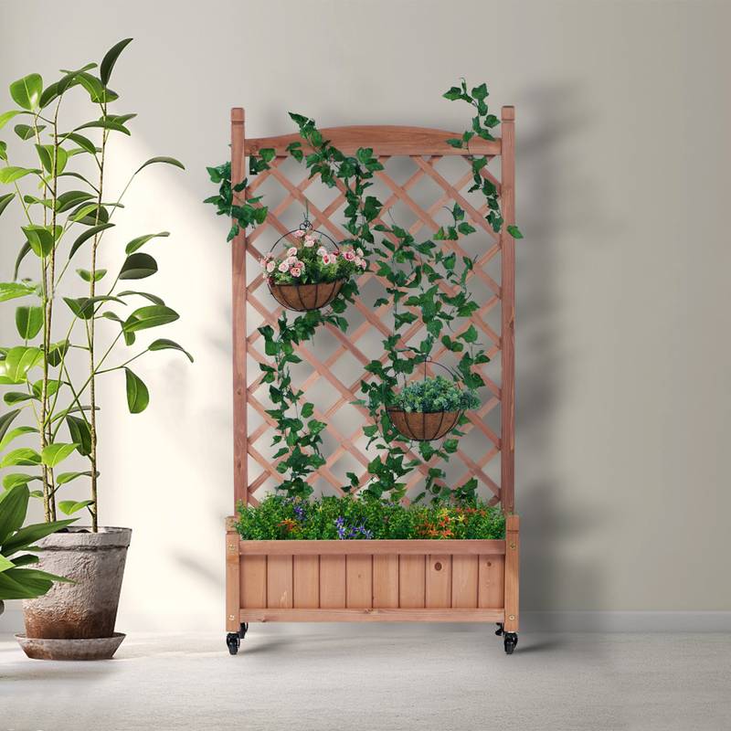 Garden Oasis Duo: Raised Planter with Climbing Trellis