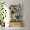 Garden Oasis Duo: Raised Planter with Climbing Trellis