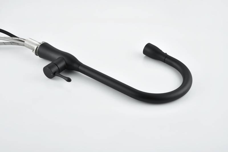 Sleek Matte Black Pull-Down Kitchen Faucet