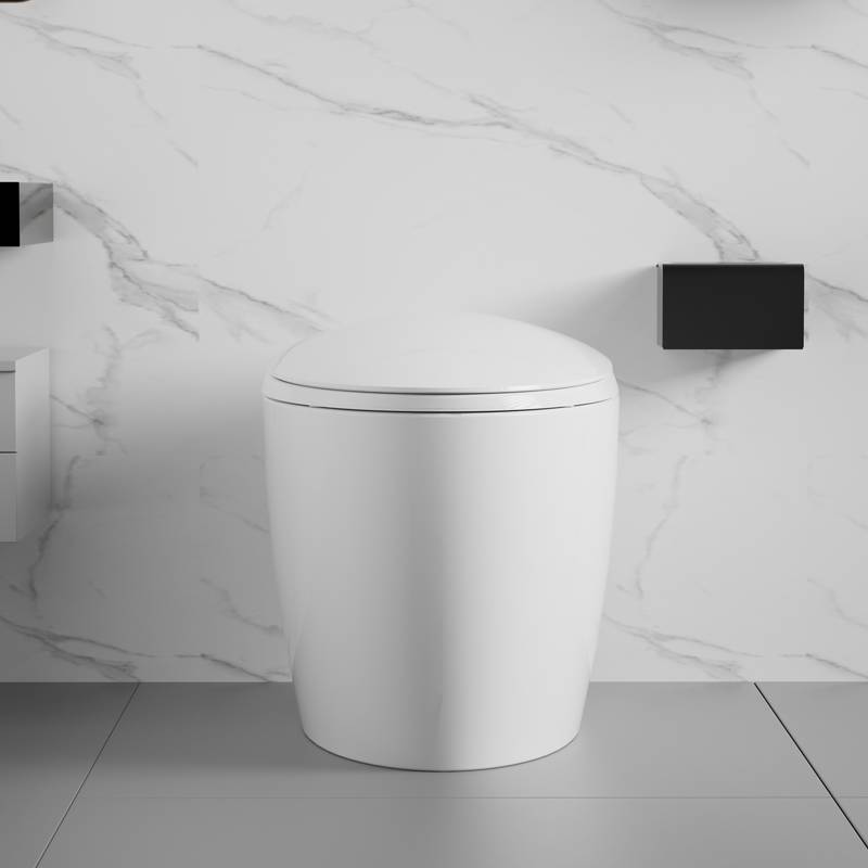 Smart Bidet Toilet: Luxury Comfort & High-Tech Features