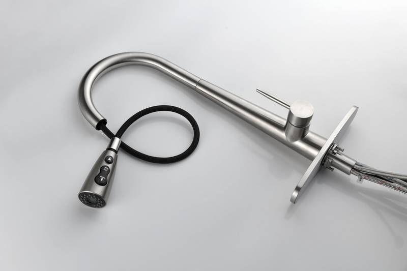 Sleek Pull-Down Kitchen Faucet