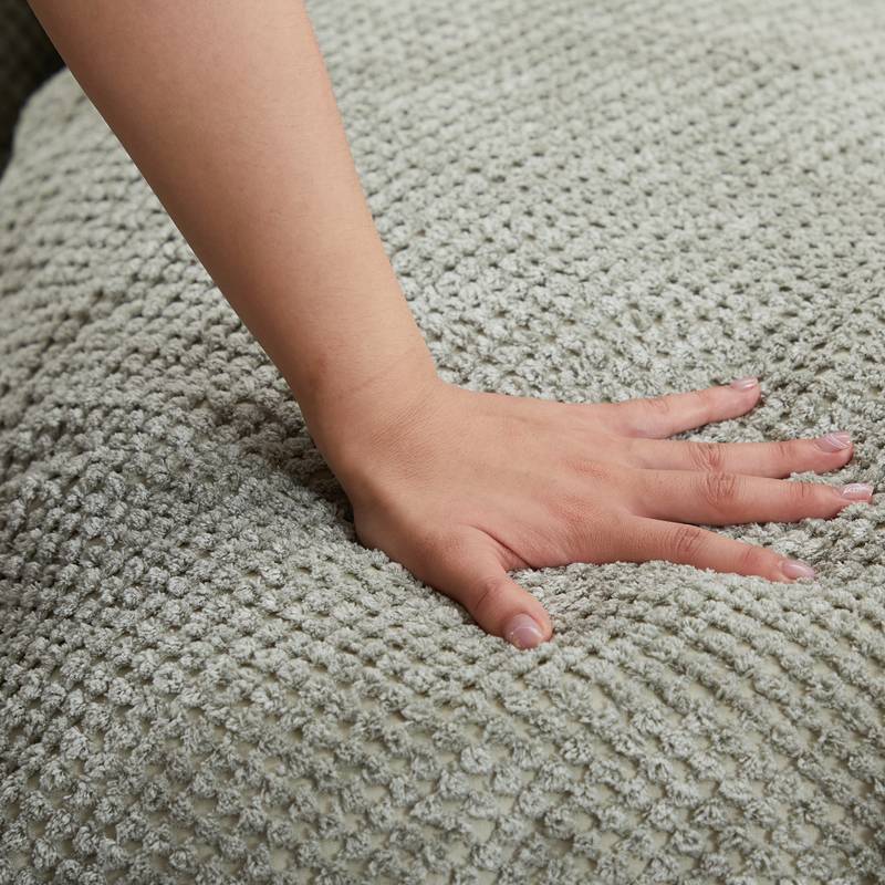 Cozy Companion Sofa Bed