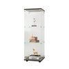 Chic Black Glass Display Cabinet