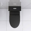 Sleek Black Eco-Friendly Toilet