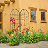 Dynamic Duo Garden Trellis - Rustproof Support for Climbing Plants