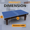 Blue Foldable Ping Pong Table Top for Indoor Fun