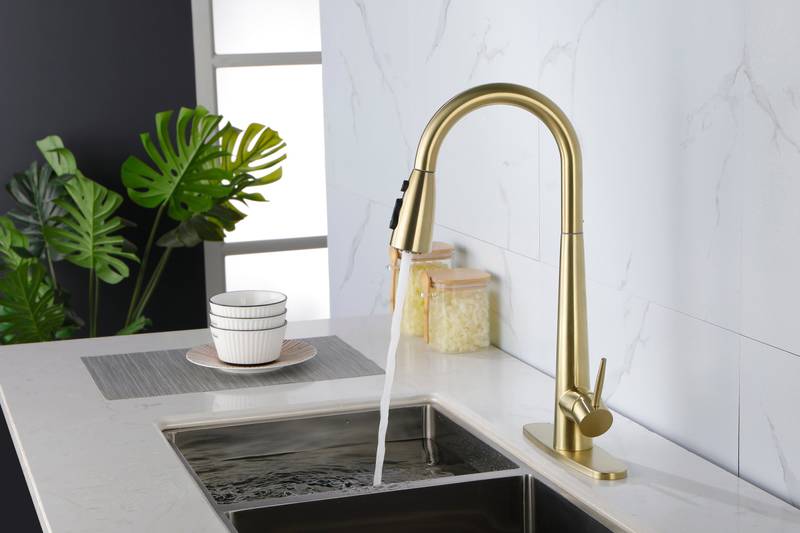 Sleek Pull-Down Kitchen Faucet