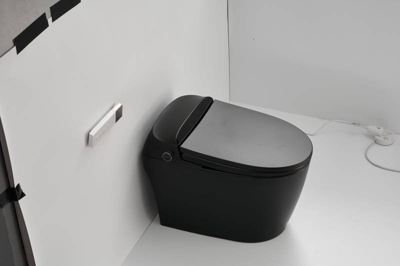 Smart Flush Toilet with Remote and Auto Cover