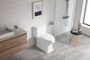 Sleek Comfort Elongated Toilet with Soft Close Seat