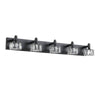 Sleek Black Crystal Vanity Light
