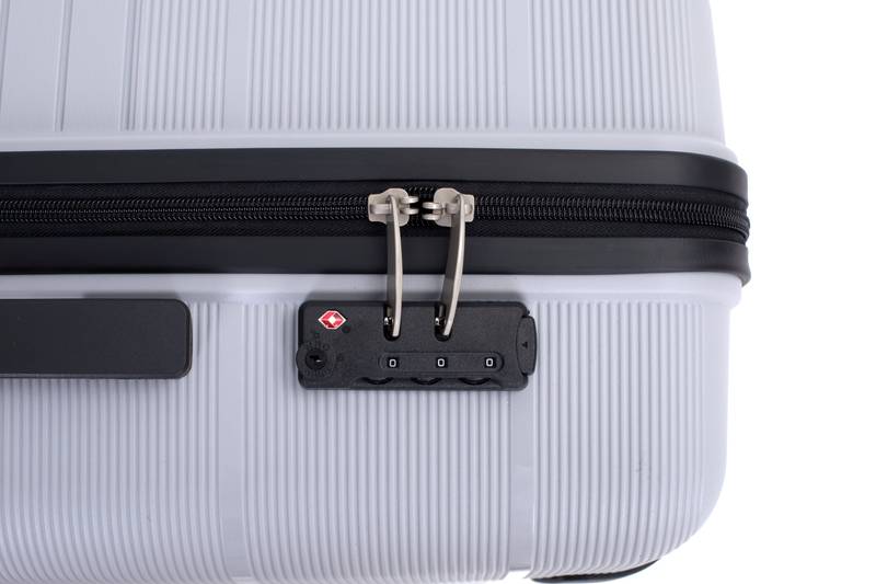 Silver Spin & Secure Luggage Set
