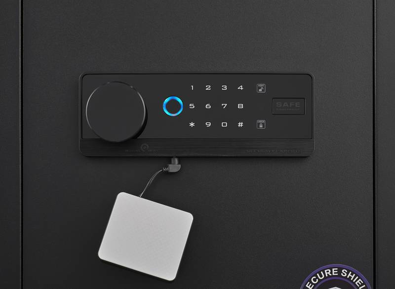 Secure & Smart Home Safe