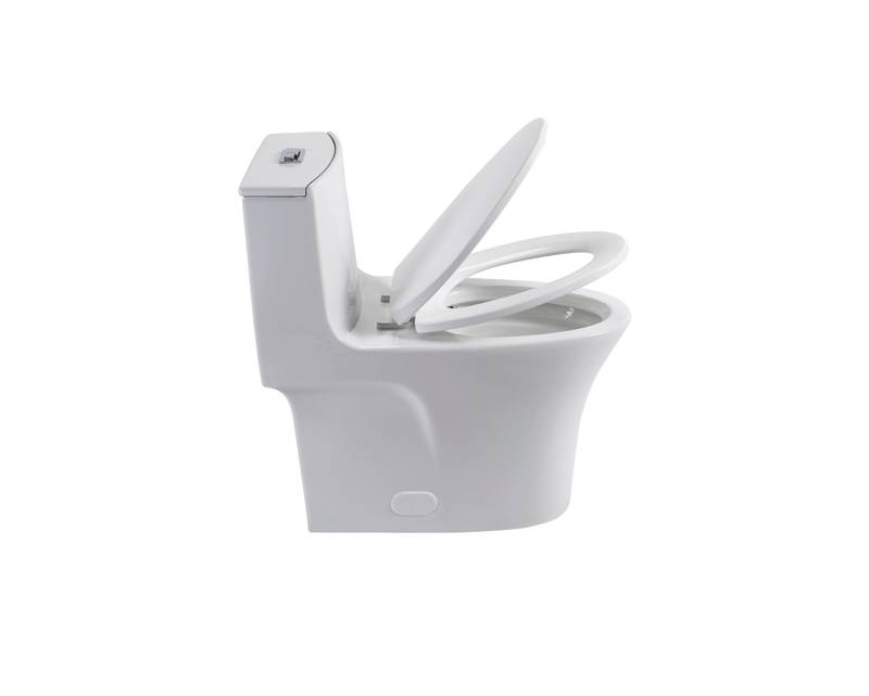 Eco-Friendly Comfort Toilet with Dual Flush and Soft Close Seat