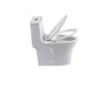 Eco-Friendly Comfort Toilet with Dual Flush and Soft Close Seat