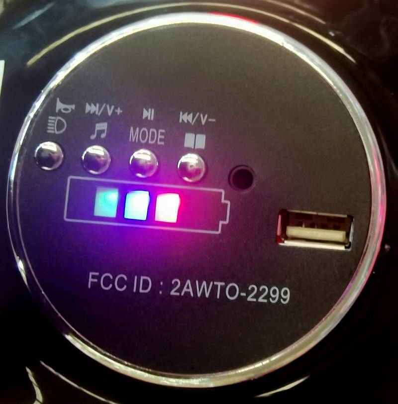 Joy Ride Electric Motorcycle for Kids