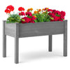 Eco-Friendly Elevated Garden Bed for Easy Planting
