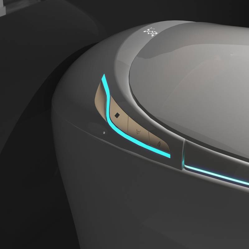 Smart Bidet Toilet: Luxury Comfort & High-Tech Features