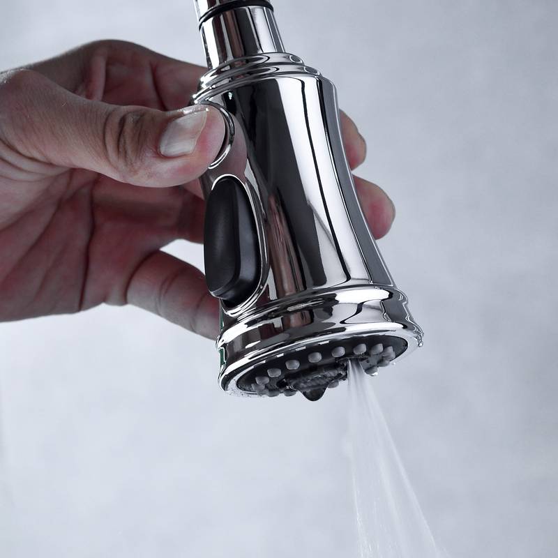 Spotless Pull-Down Kitchen Faucet