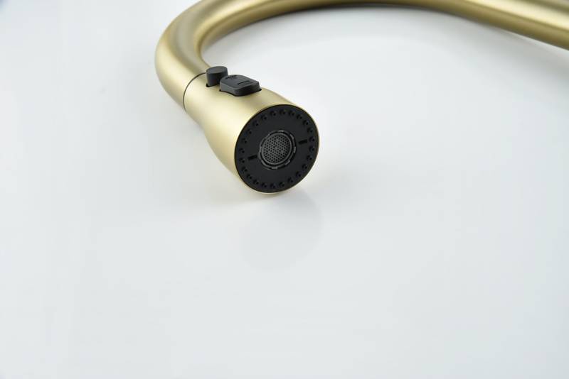 Gold Pull-Down Kitchen Faucet