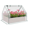 Garden Buddy Planter with Cozy Greenhouse Cover
