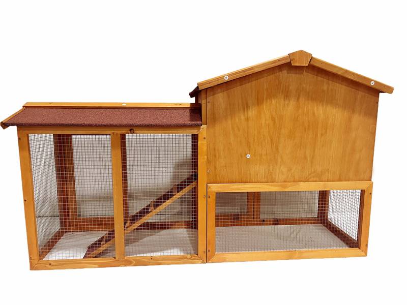 Playground Chicken Coop Adventure