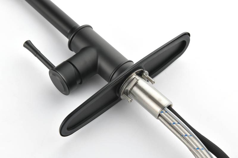 Sleek Pull-Down Kitchen Faucet