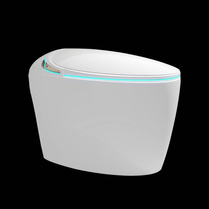 Smart Bidet Toilet: Luxury Comfort & High-Tech Features