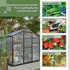 Easy Set-Up Backyard Greenhouse