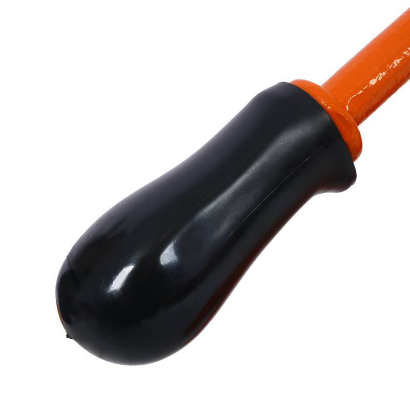 Citrus Master Juicer - Heavy-Duty Hand Press for Fresh Juice