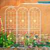 Garden Grace: Rustproof Trellis Duo for Climbing Blooms