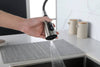 Sleek Pull-Down Kitchen Faucet
