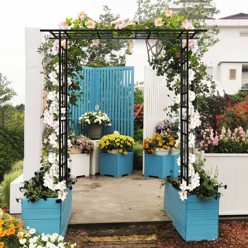 Versatile Black Garden Arch for Climbing Plants