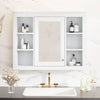 Stylish Wall-Mounted Bathroom Mirror Cabinet with Shelves