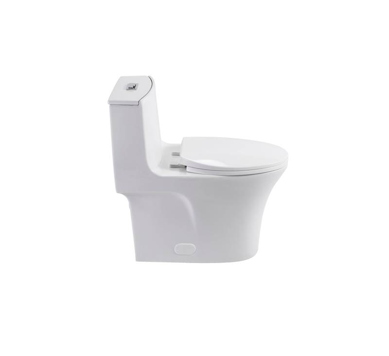 Eco-Friendly Comfort Toilet with Dual Flush and Soft Close Seat