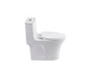 Eco-Friendly Comfort Toilet with Dual Flush and Soft Close Seat