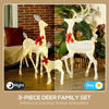 Shimmering Christmas Reindeer Family Set