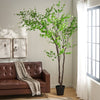 Vibrant Disc Leaf Tree