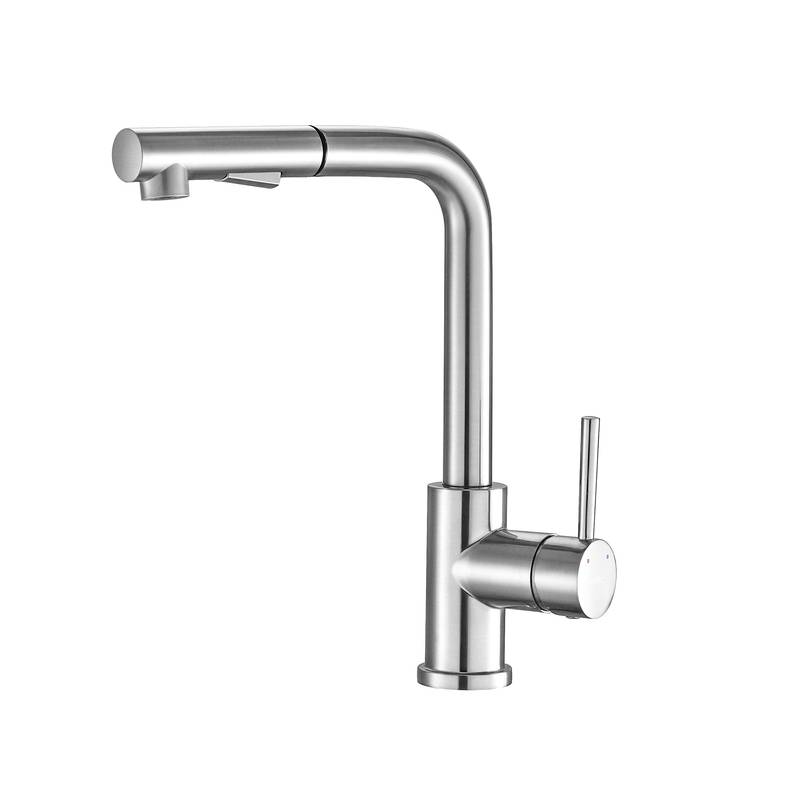 Sleek Pull-Down Kitchen Faucet