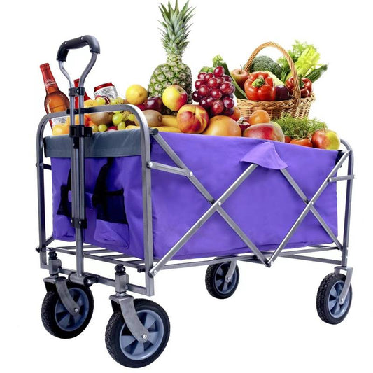 Versatile Folding Beach Cart