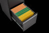 Secure File Cabinet Organizer