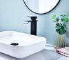 Splash Flow Bathroom Faucet