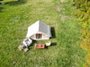 Cozy Air Tent - Effortless 4-Season Glamping for Families