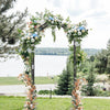 Versatile Black Garden Arch for Climbing Plants