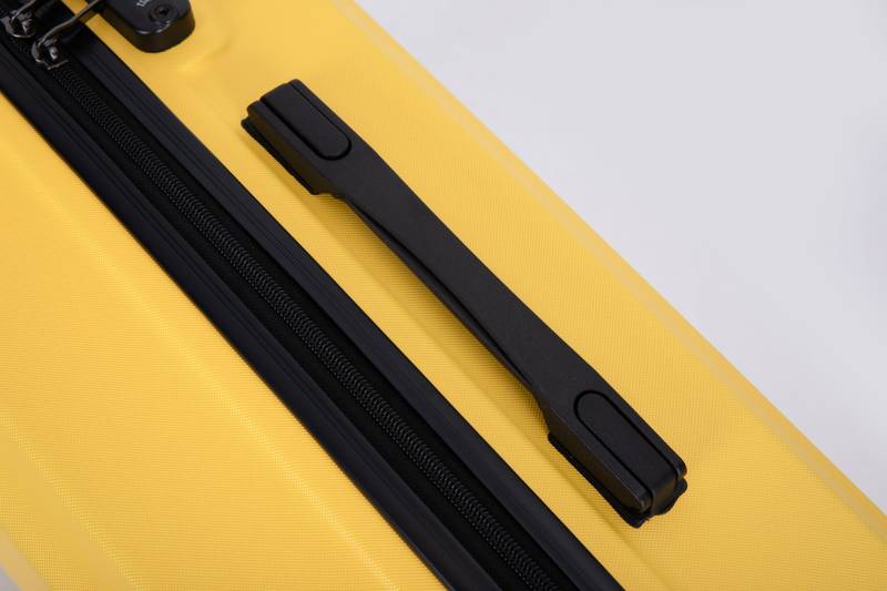 Sunny Spinner Suitcase Set