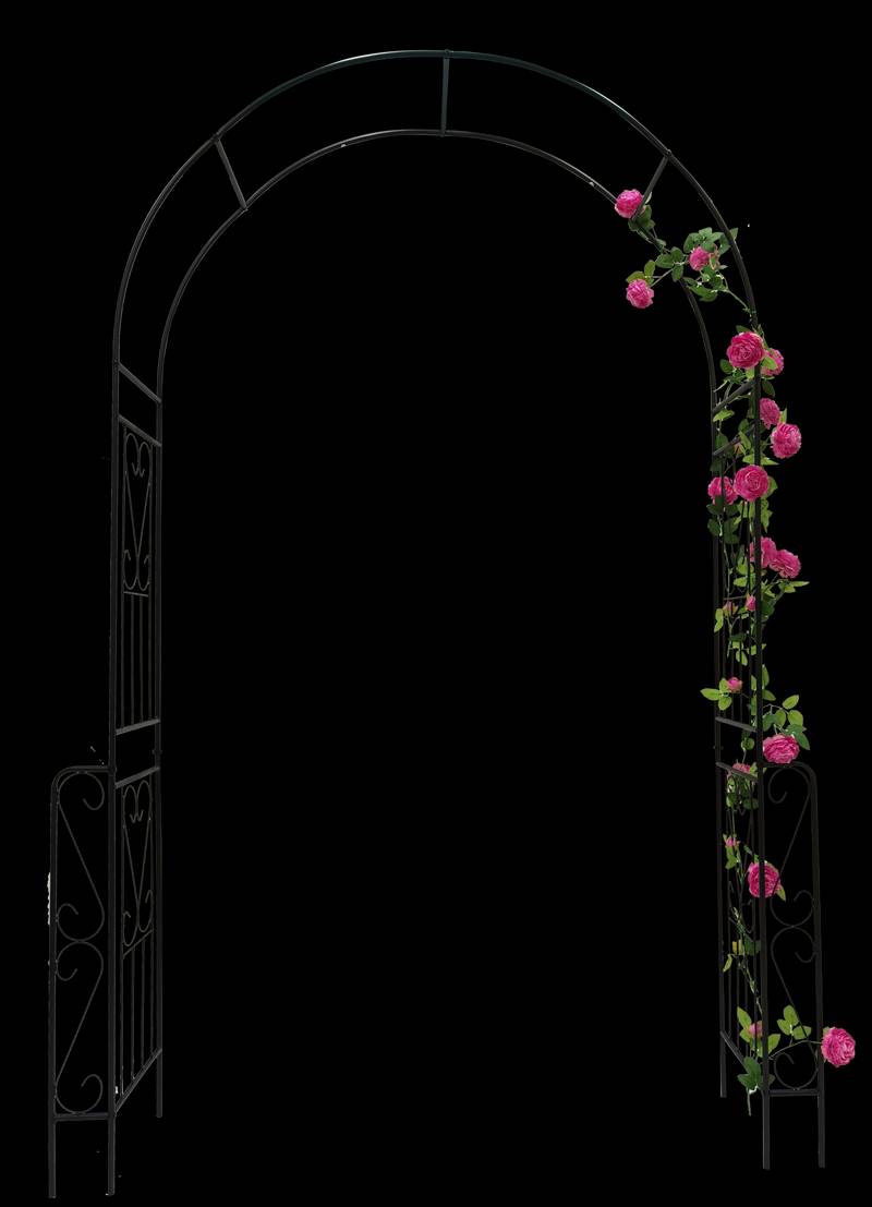 Elegant Garden Arch for Climbing Plants