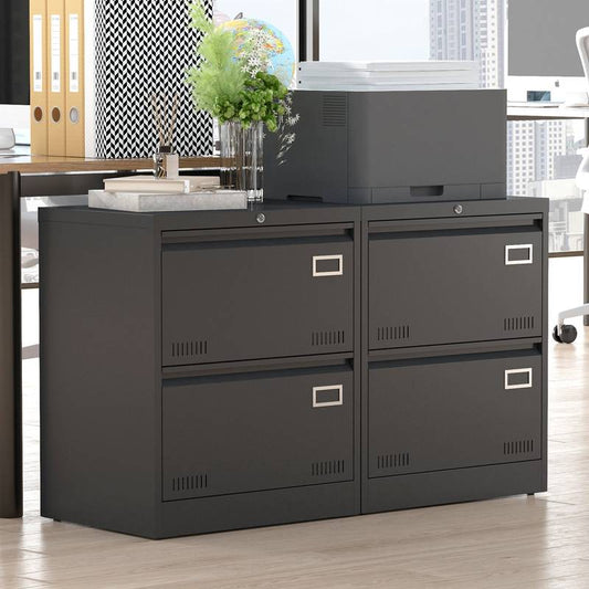 Secure Metal File Cabinet with Two Drawers