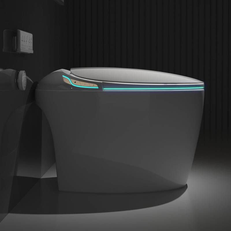 Smart Bidet Toilet: Luxury Comfort & High-Tech Features