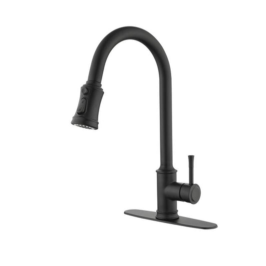 Sleek Pull-Down Kitchen Faucet